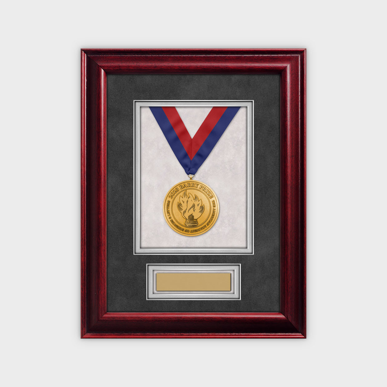 Barry Prize Shadow Box